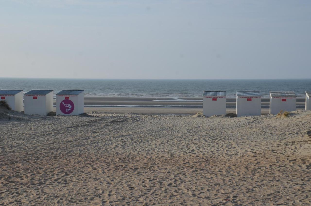 Duinenveld Daire Nieuwpoort Dış mekan fotoğraf